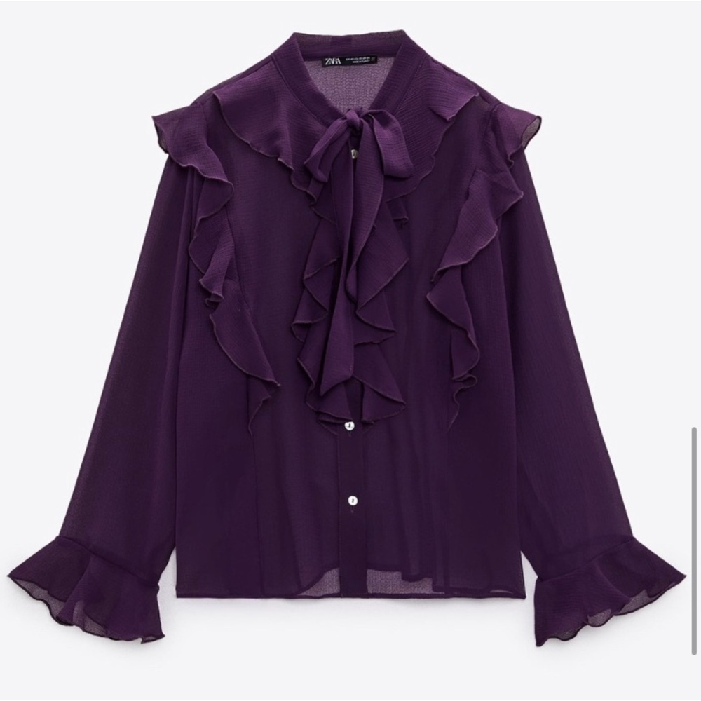 Zara Deep Purple Sheer Ruffle Blouse - Picture 6 of 11